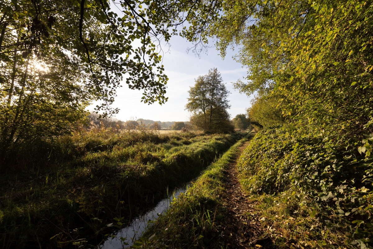 Naturschutzgebiet Heiliges Meer