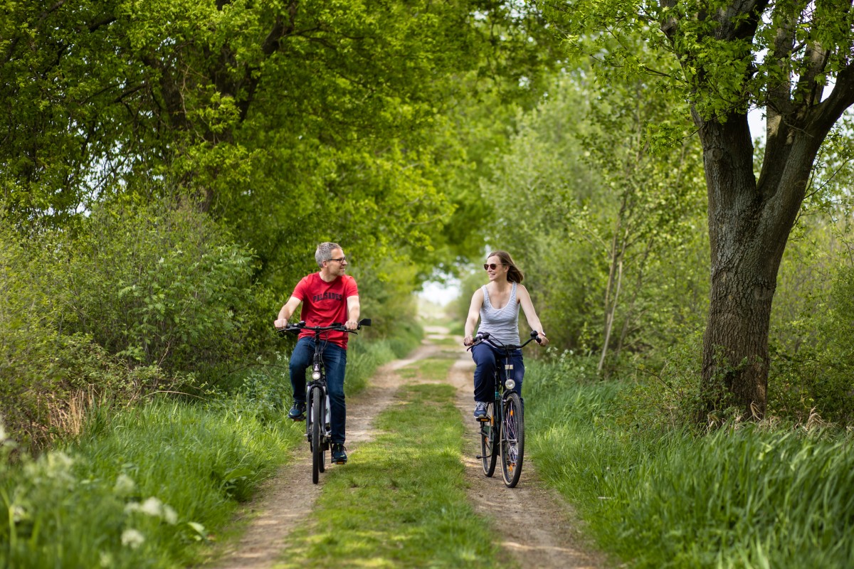 Unterwegs im Recker Moor