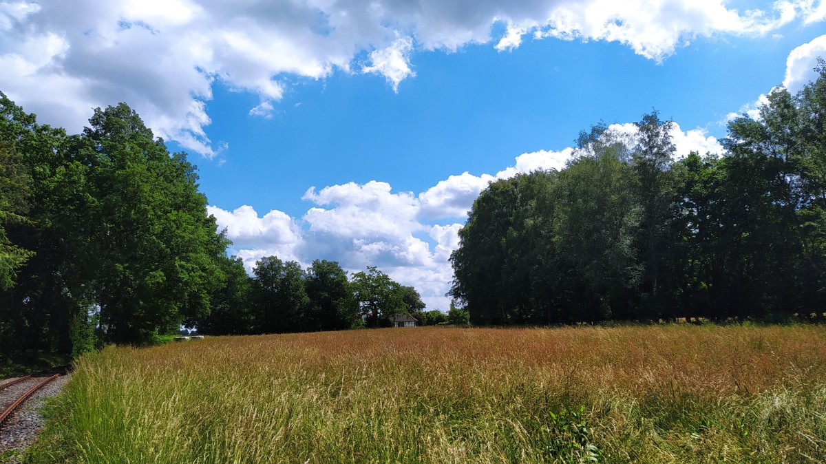 Naturgenuss bei Westerkappeln