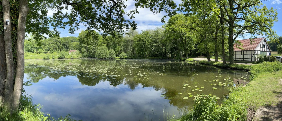 Fachwerk, Forst, Fernsicht