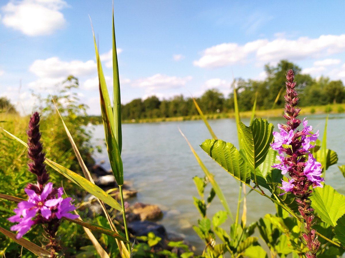 Der Dortmund-Ems-Kanal in Ibbenbüren-Dörenthe