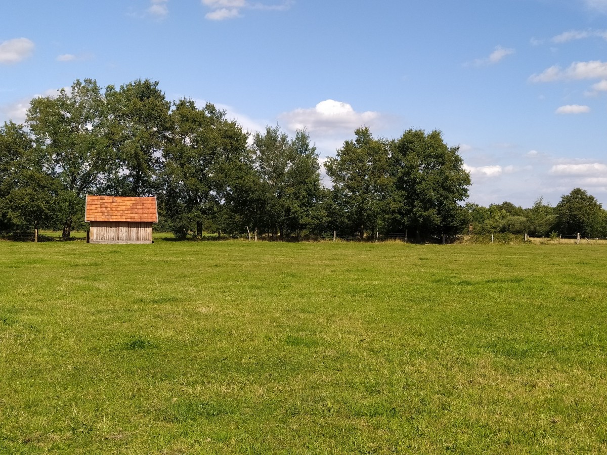 naturnahe Wiesen im Naturschutzgebiet am Janhaarspool