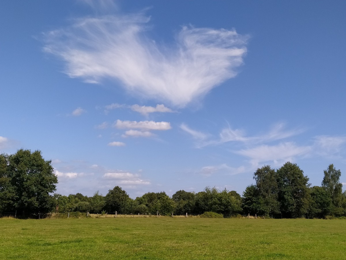 Naturschutzgebiet Janhaarspool in Ibbenbüren-Dörenthe