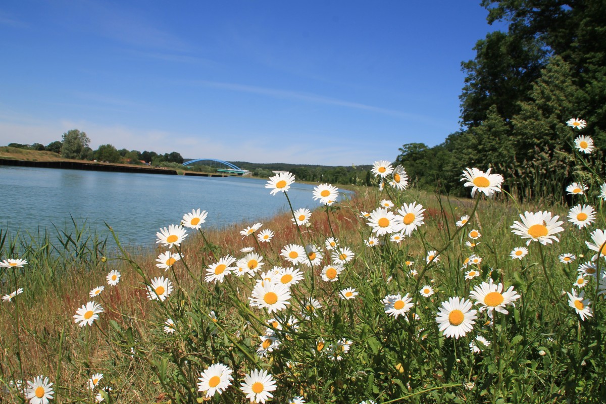 Kanalblick in Dörenthe spl