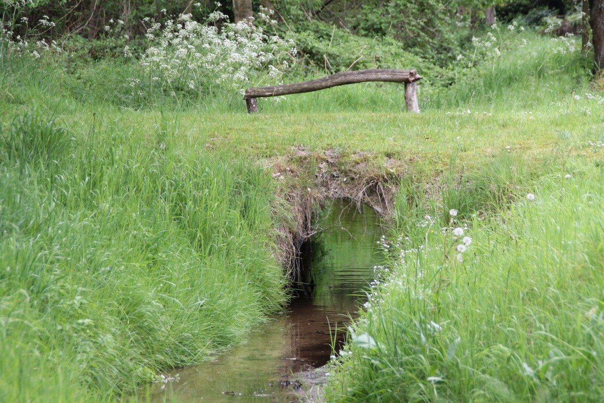 kleine Brücke am Löchtweg spl