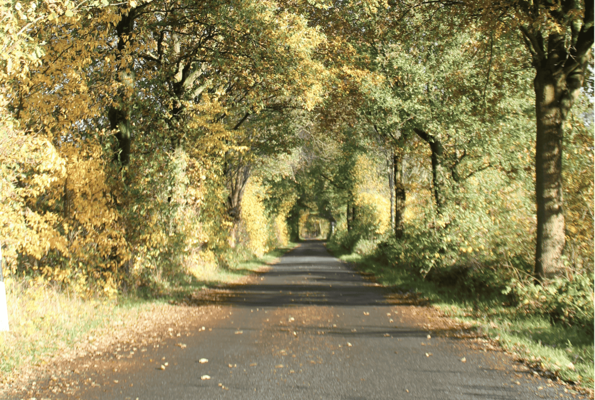 wandern-doerenthe-09