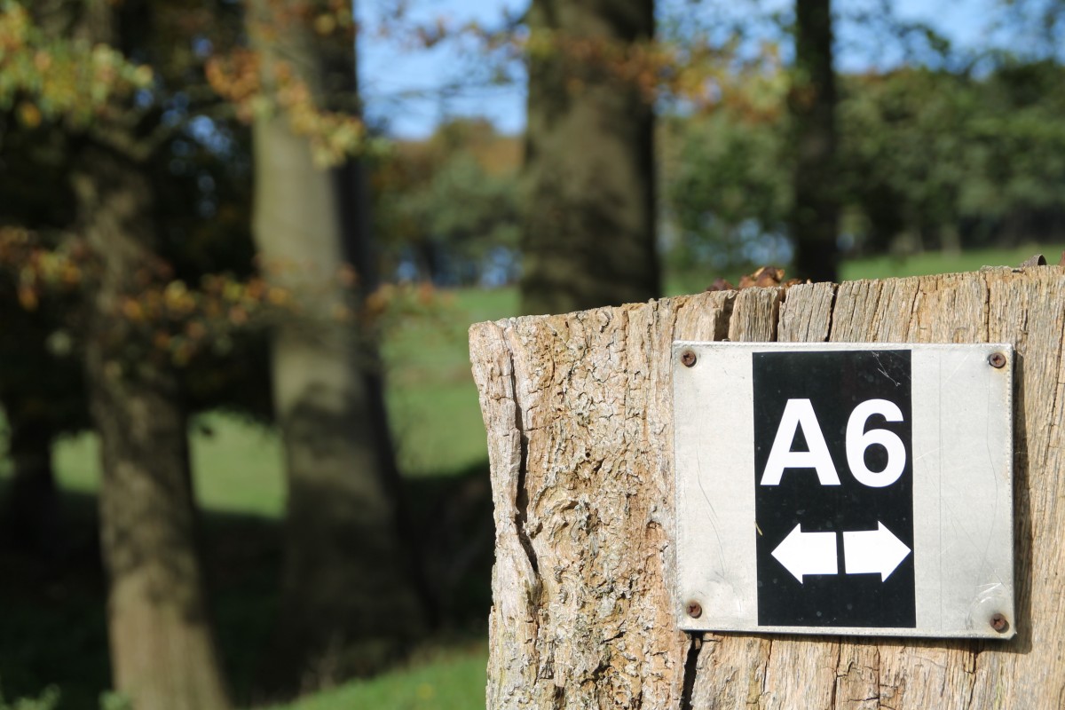 Wanderweg A6, Laggenbeck (2)