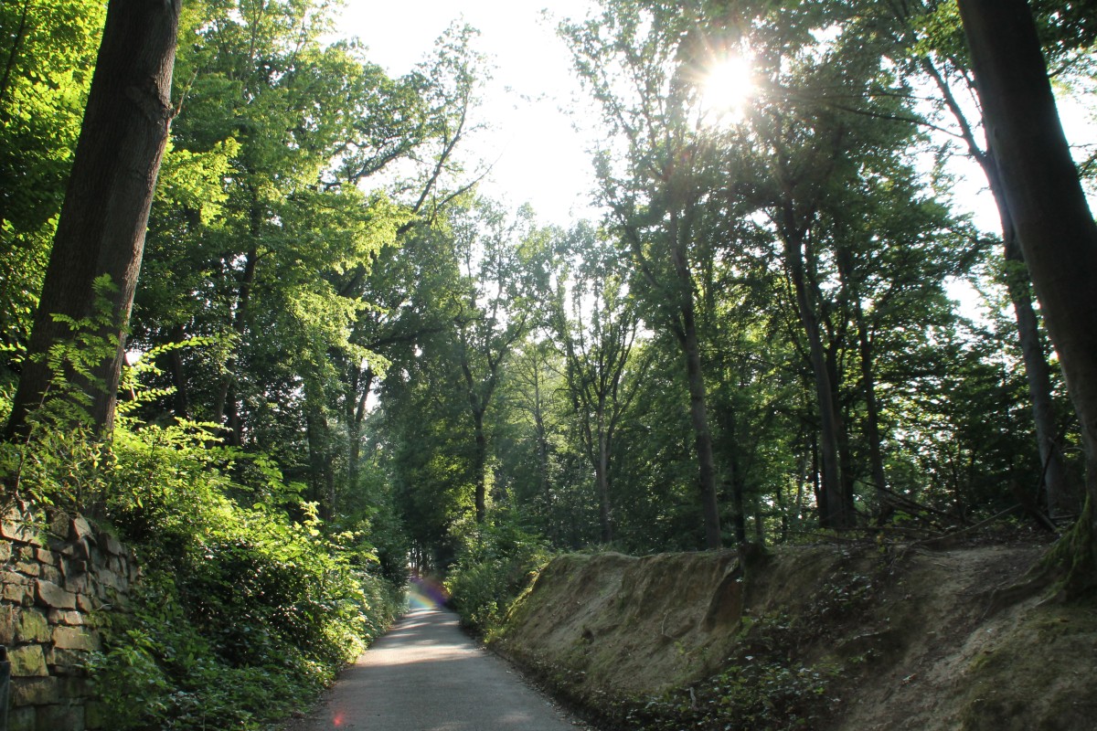 Im Köllbachtal in Mettingen