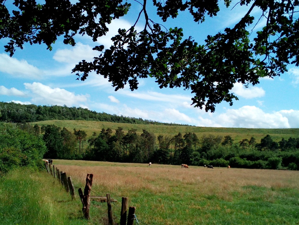 Halde entlang der Radtour