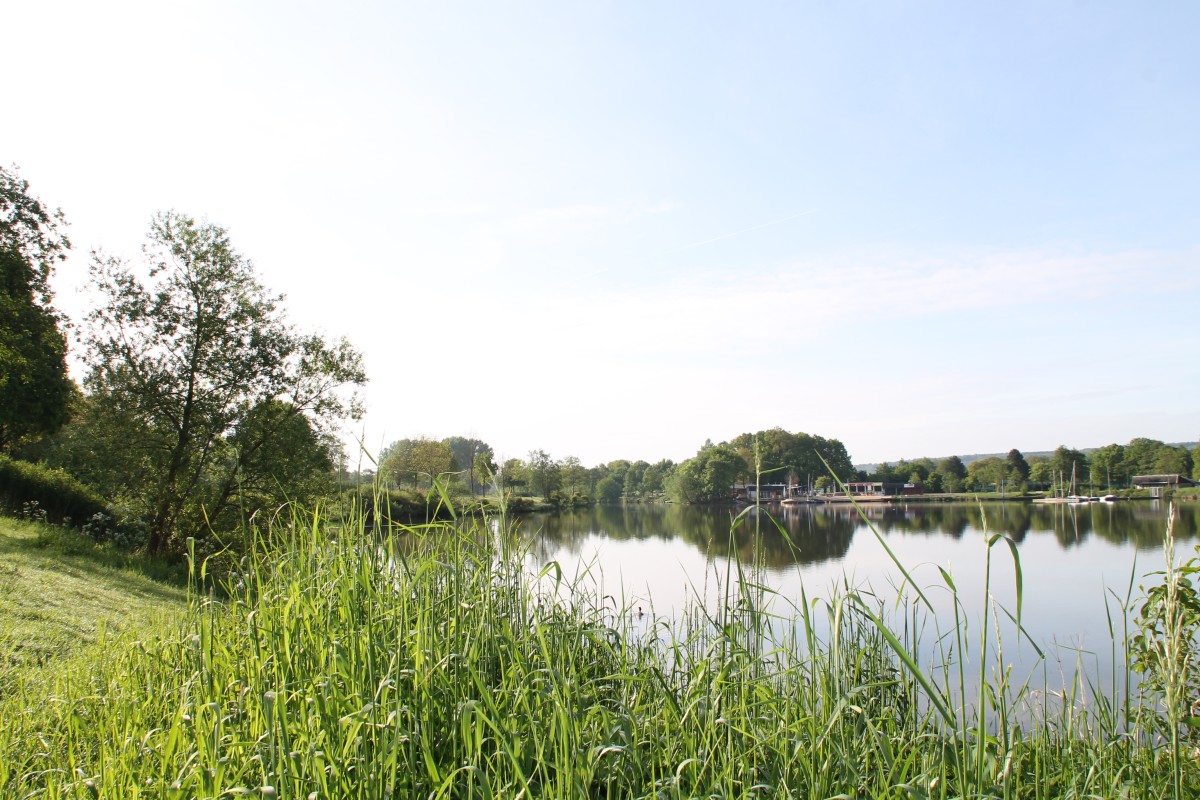 Frühling am Aasee
