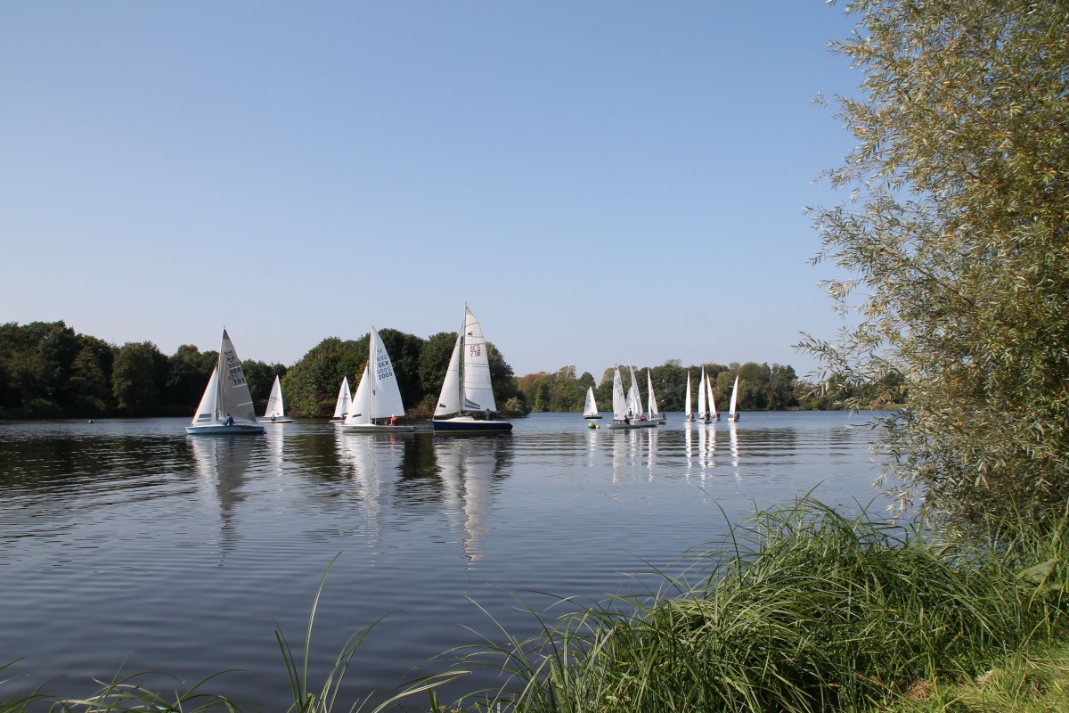 Ibbenbürener Aasee mit Segelregatta