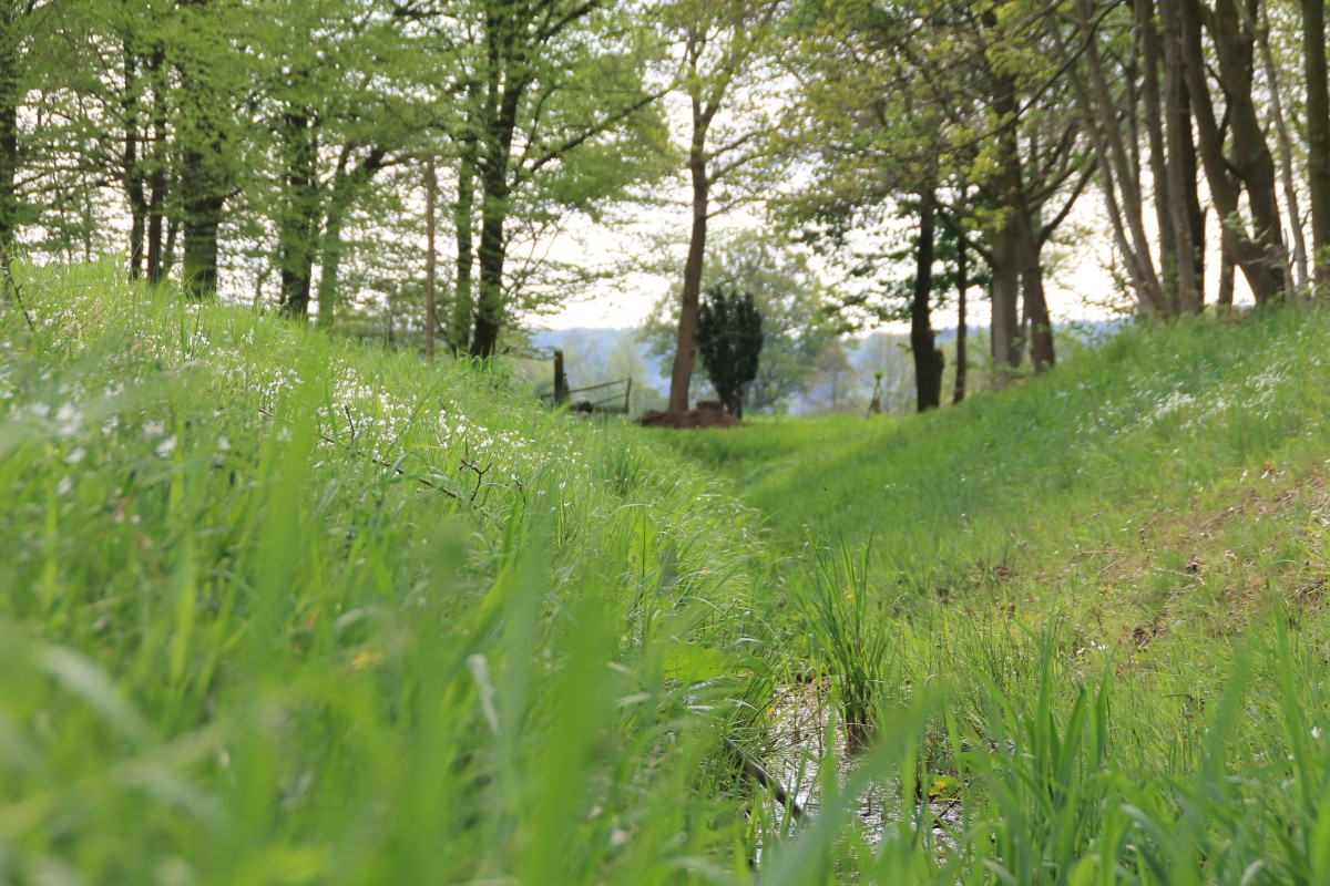 Wanderweg A5 Laggenbeck spl (10)