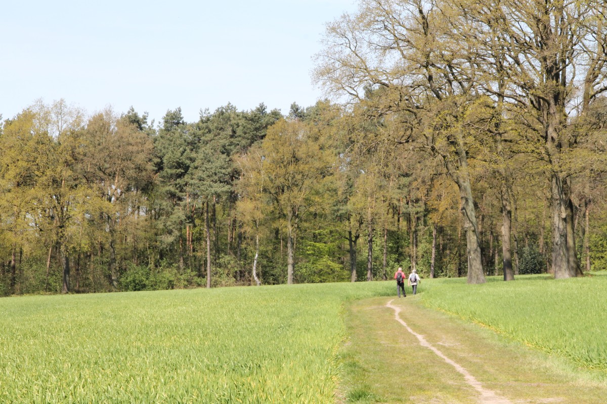 Wandern an der Halde, Bergbauwanderroute Buchholz spl(5)