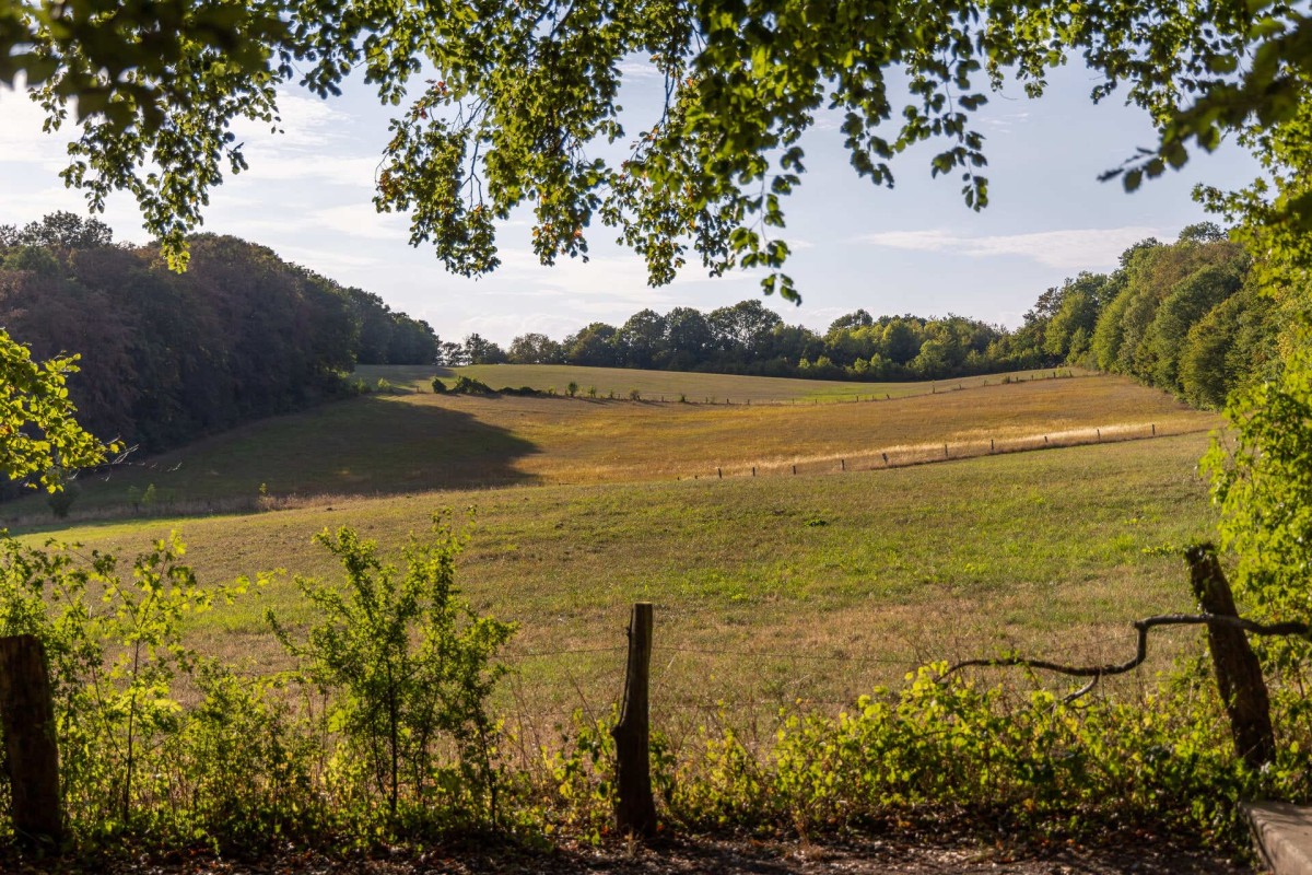 lengerich-naturschutzgebiet-canyon-02