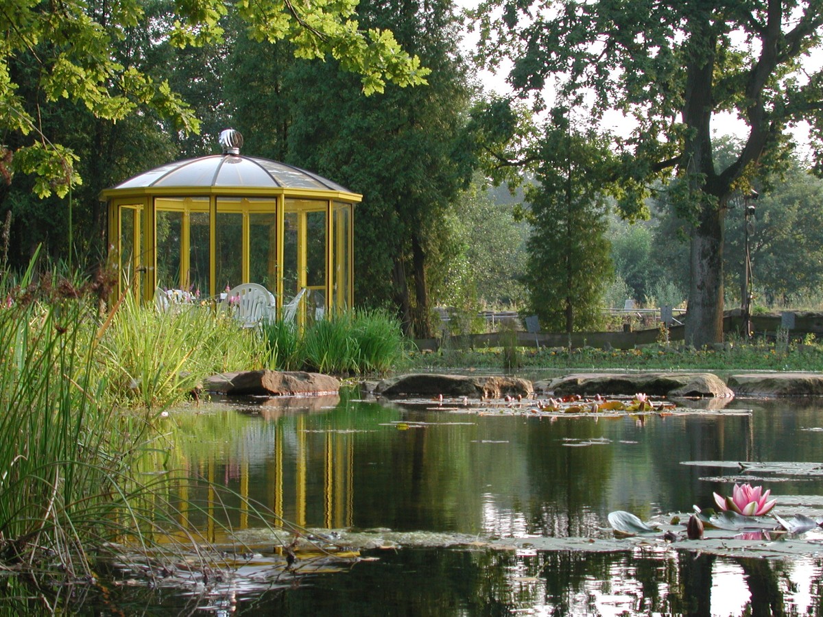 Seerosen im Naturerlebnispark Dörenthe