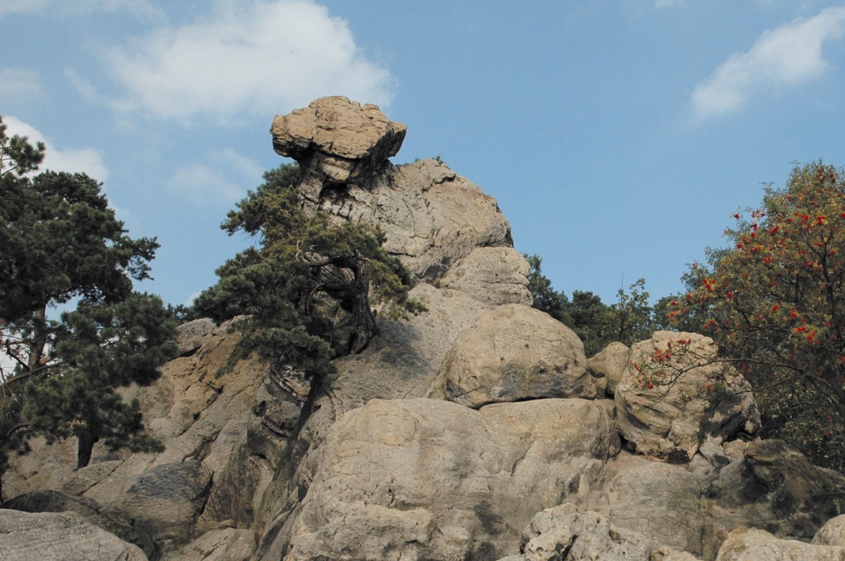 Das 'Hockende Weib' aus der  Felsformation 'Dörenther Klippen' Ausflugsziel und Aussichtspunkt auf das Münsterland1