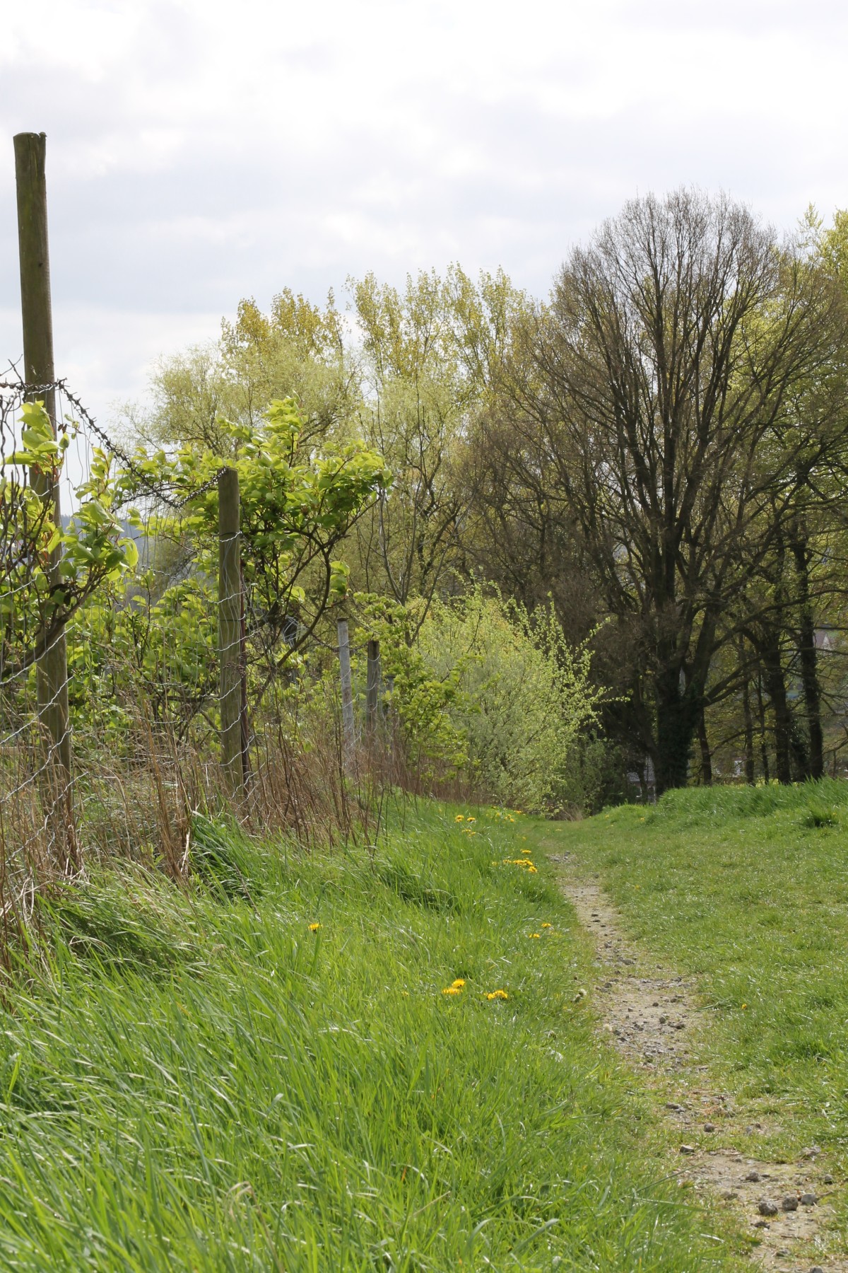 oberhalb von Löbke spl