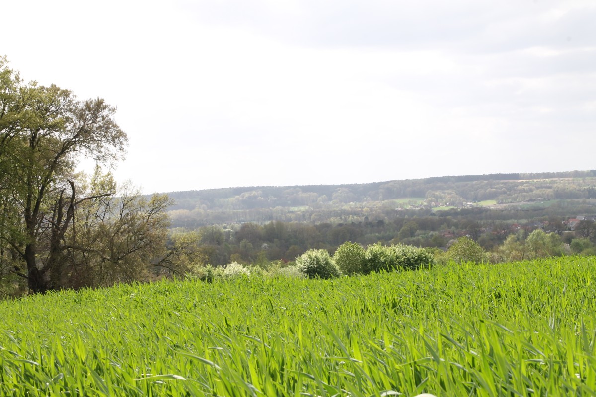 Teutoblick oberhalb von Löbke spl