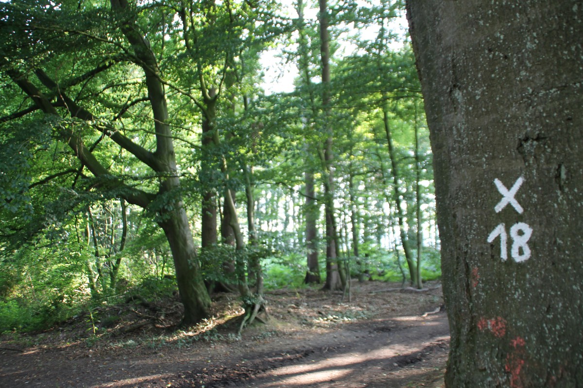 x18 mettingen ibb spl (6)