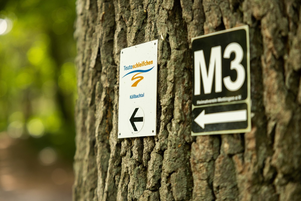 Wegweiser auf der Naturtour