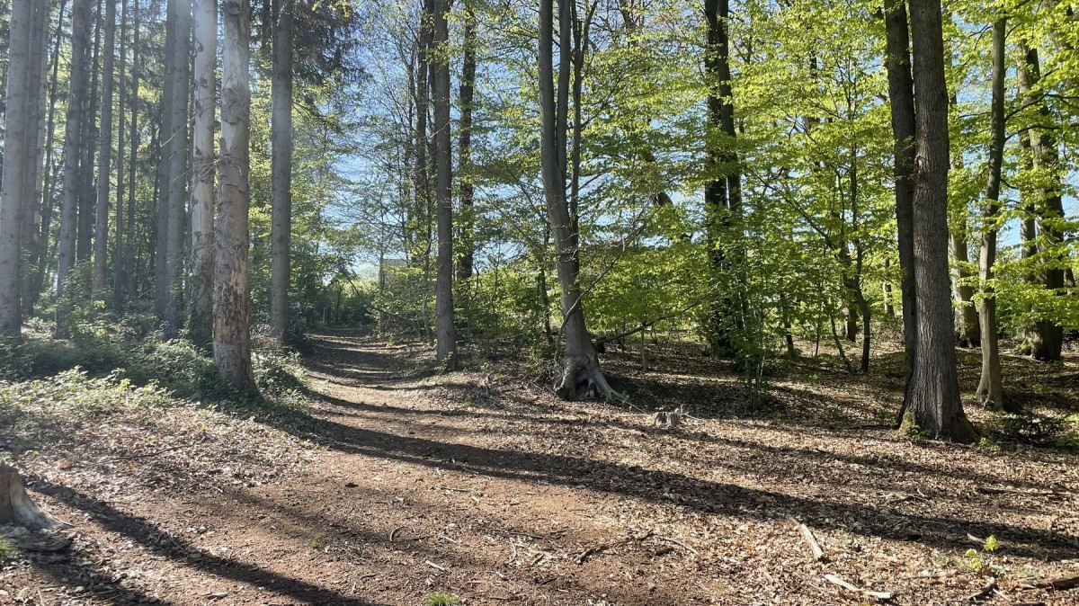 Köllbachtal in Mettingen