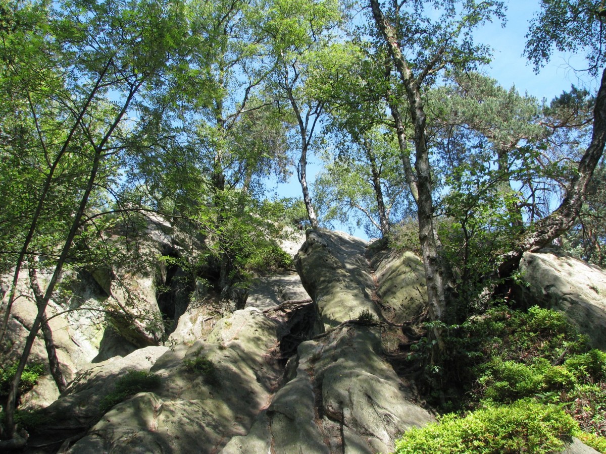 Die Felsformationen der Dörenther Klippen