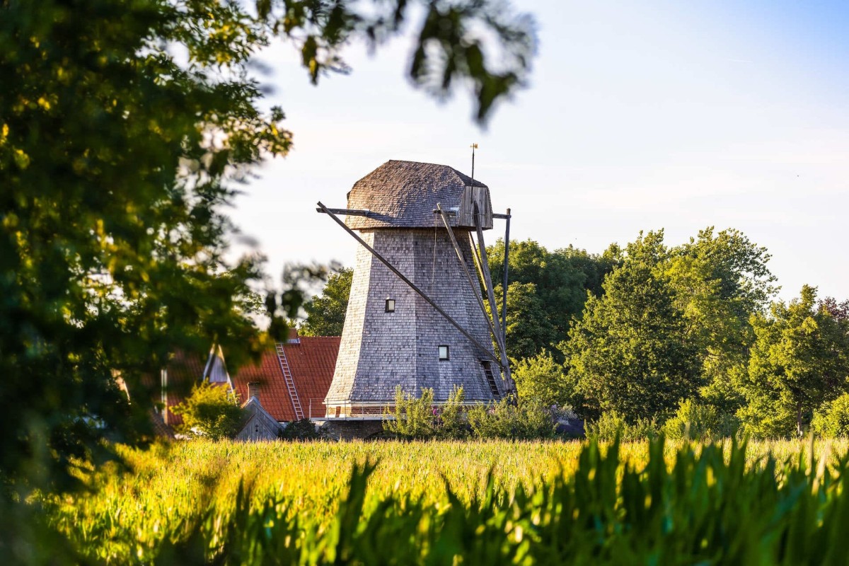 altenberge-mühle-holzholländerwindmühle-01
