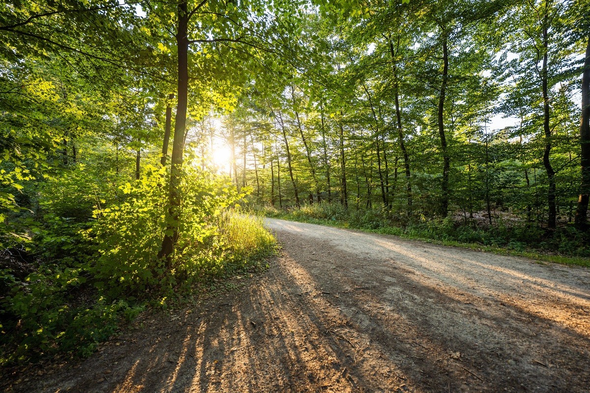 Vreden Naturschutzgebiet Schwattet Gatt