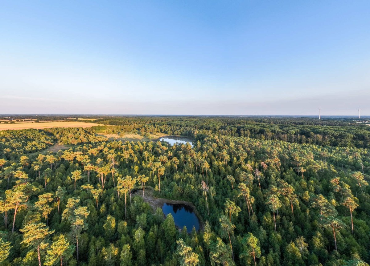 vreden-naturschutzgebiet-schwattet-gatt-01