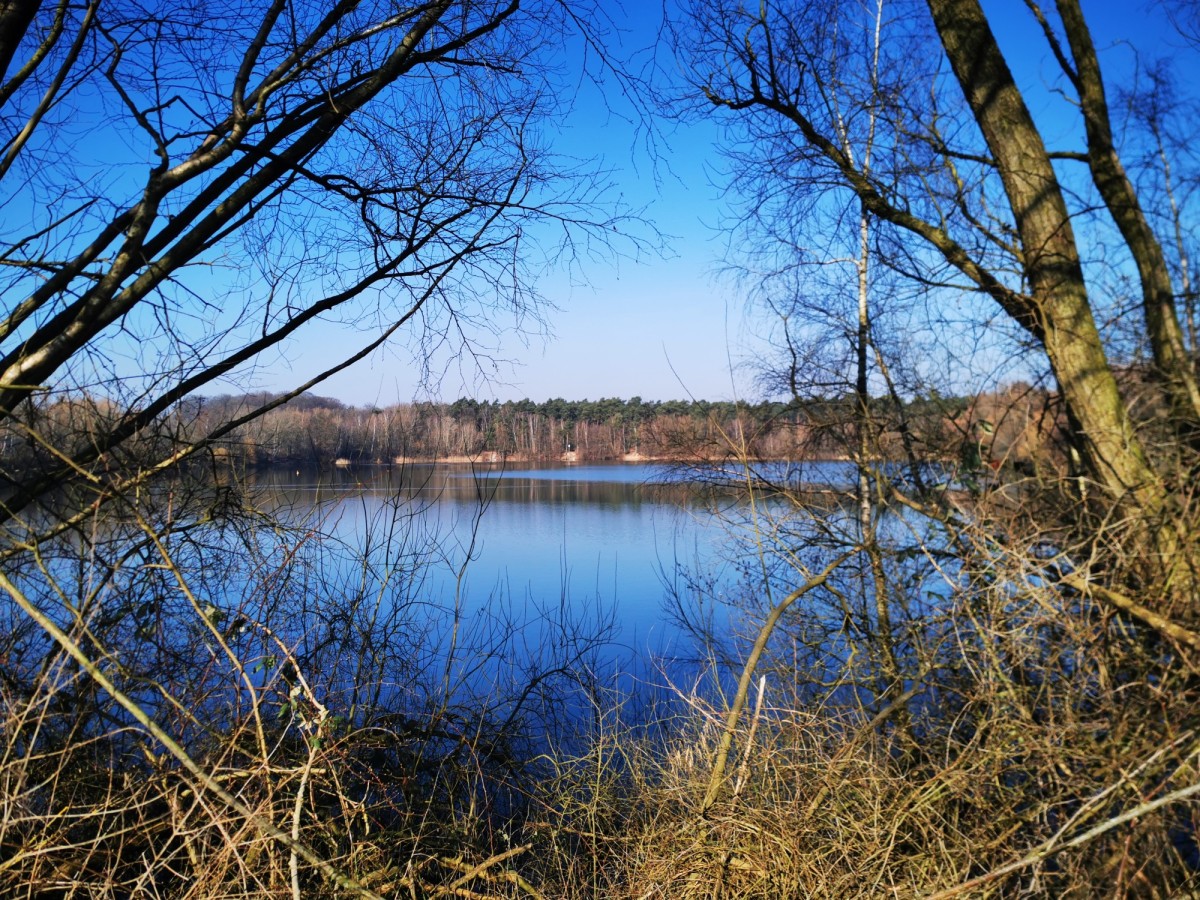 Reuter See
