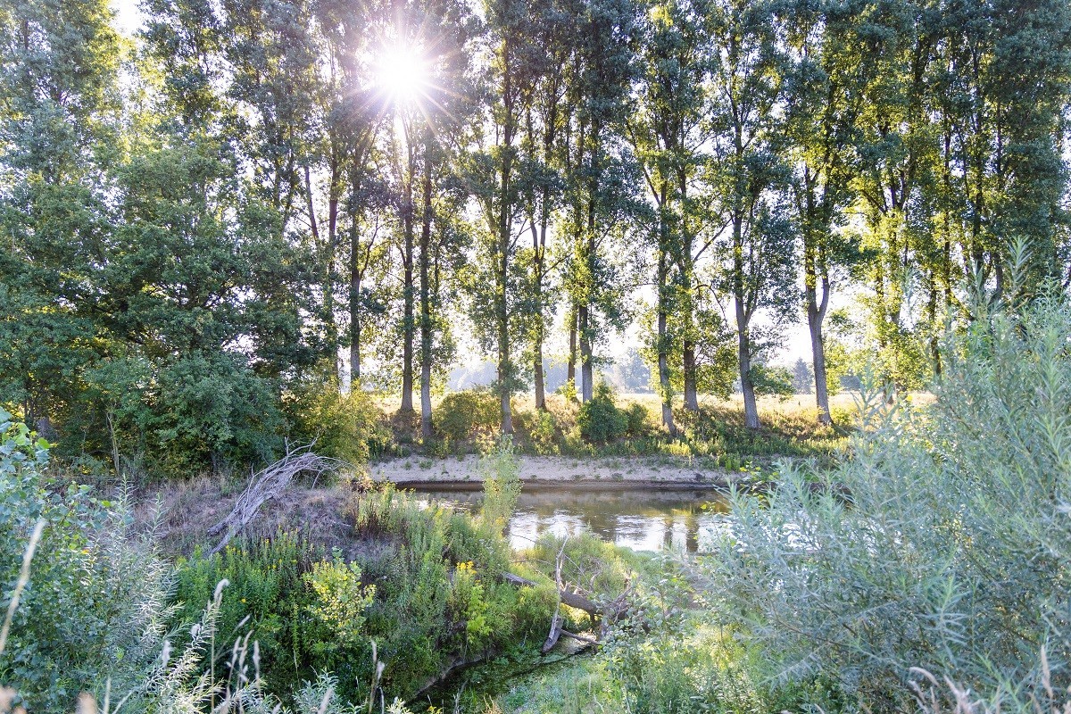 Emsaue in Emsdetten-Hembergen