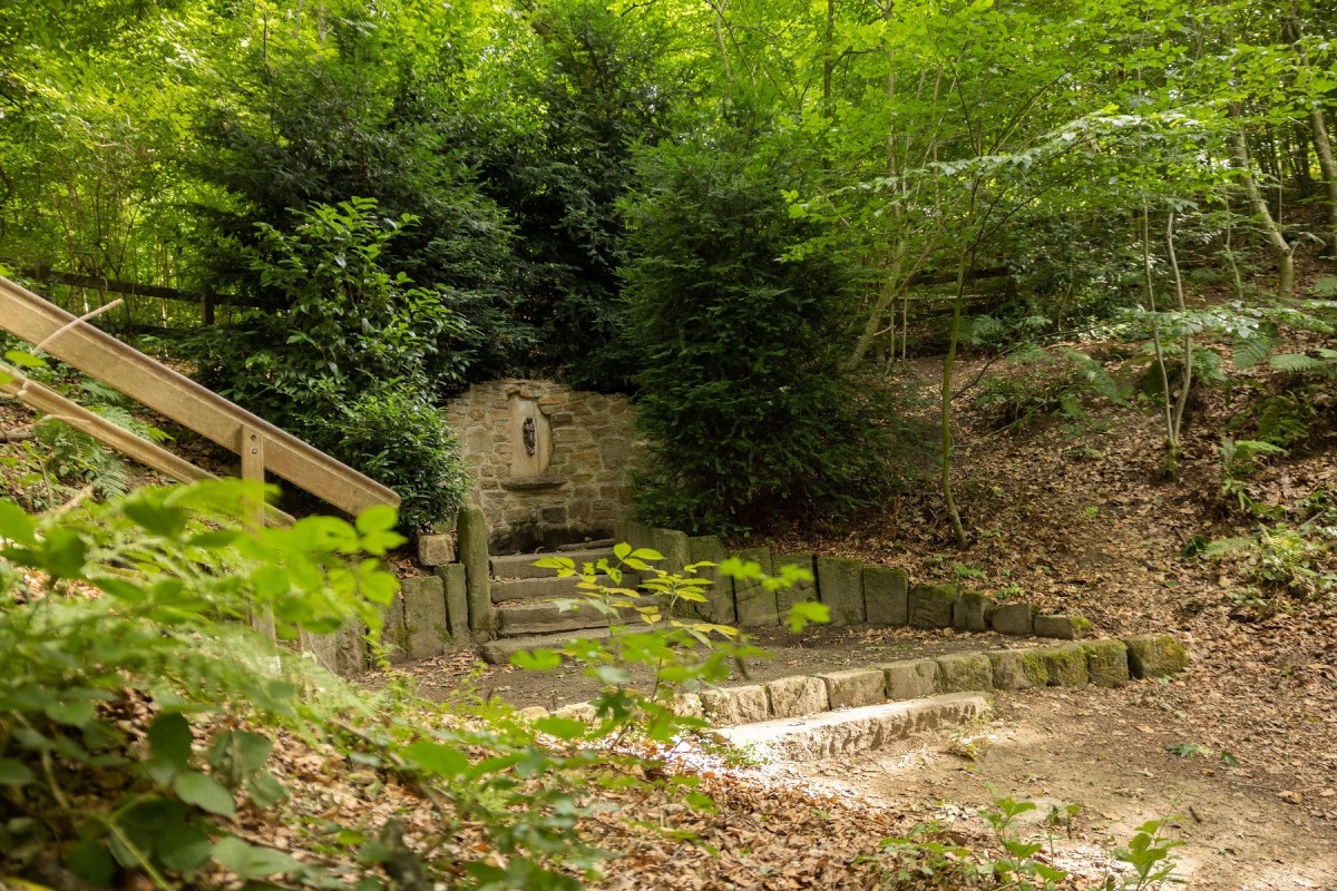 Mettingen Köllbachtal