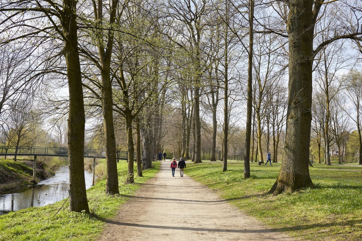 telgte-wandern-duemmertpark