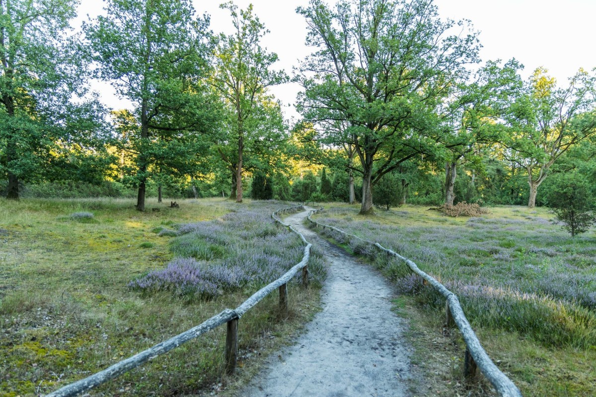 greven-naturschutzgebiet-bockholter-berge-02