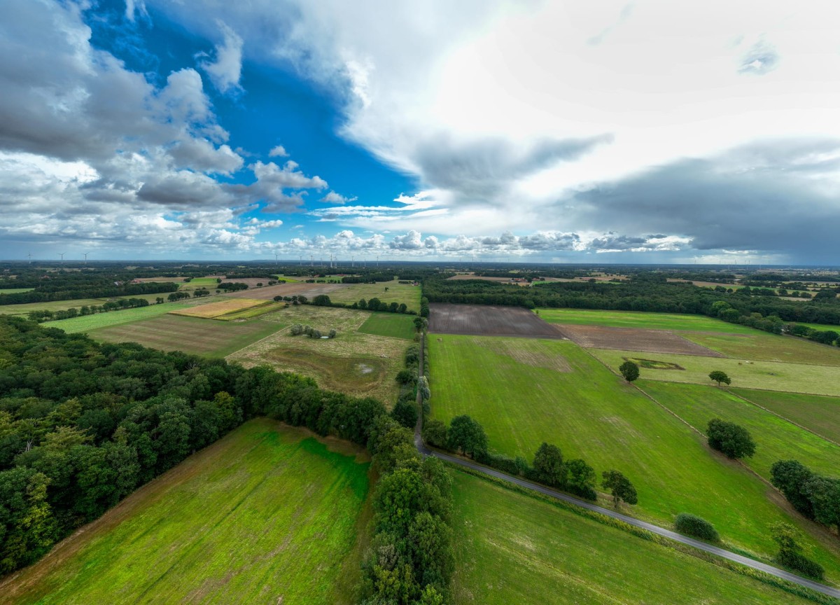 ahaus-gronau-naturschutzgebiet-amtsvenn