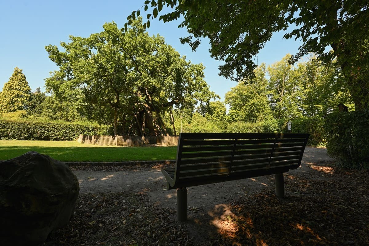 Parkbank an der Femeiche